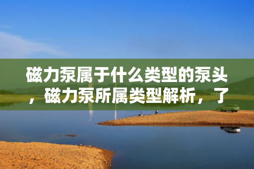 磁力泵属于什么类型的泵头，磁力泵所属类型解析，了解磁力泵是何种泵头