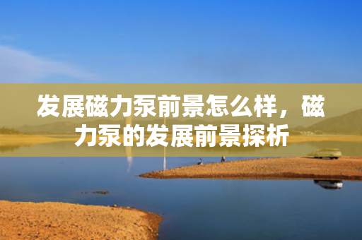 发展磁力泵前景怎么样，磁力泵的发展前景探析