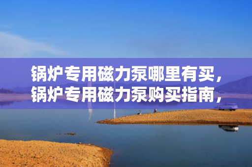 锅炉专用磁力泵哪里有买，锅炉专用磁力泵购买指南，找到最适合您的产品供应商
