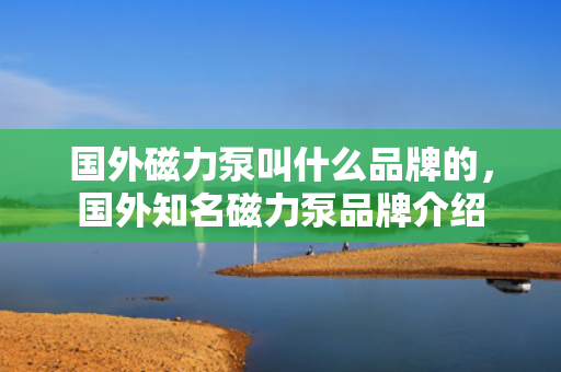 国外磁力泵叫什么品牌的，国外知名磁力泵品牌介绍