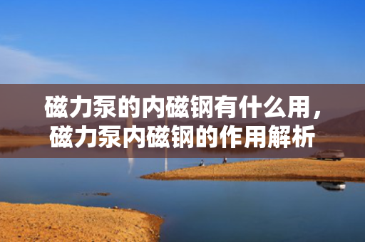 磁力泵的内磁钢有什么用，磁力泵内磁钢的作用解析