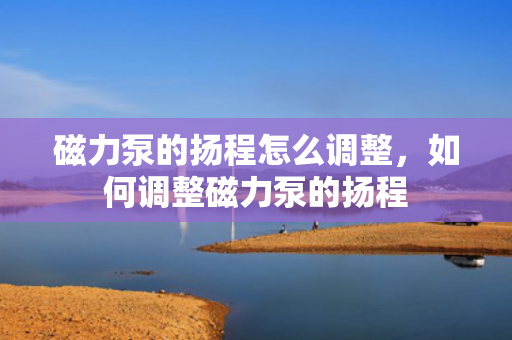 磁力泵的扬程怎么调整，如何调整磁力泵的扬程