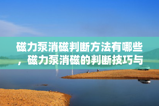 磁力泵消磁判断方法有哪些，磁力泵消磁的判断技巧与方法