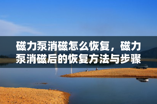 磁力泵消磁怎么恢复，磁力泵消磁后的恢复方法与步骤