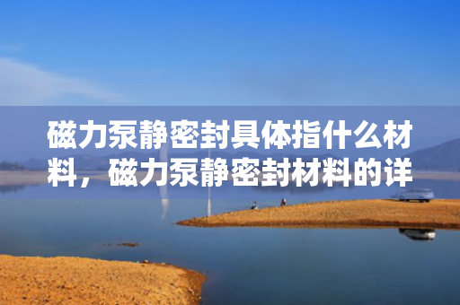 磁力泵静密封具体指什么材料，磁力泵静密封材料的详细解析