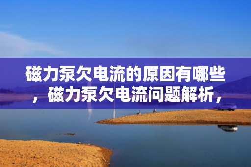 磁力泵欠电流的原因有哪些，磁力泵欠电流问题解析，可能的原因探讨