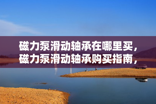 磁力泵滑动轴承在哪里买，磁力泵滑动轴承购买指南，找到最适合你的购买地点