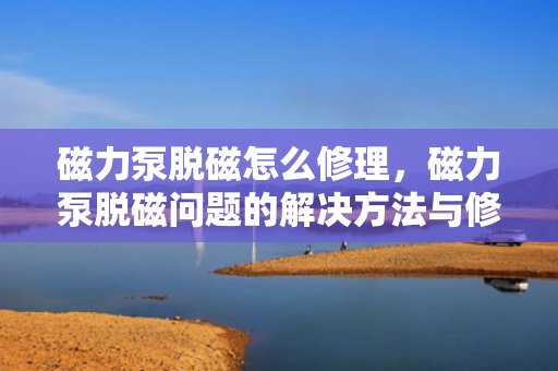 磁力泵脱磁怎么修理，磁力泵脱磁问题的解决方法与修理指南