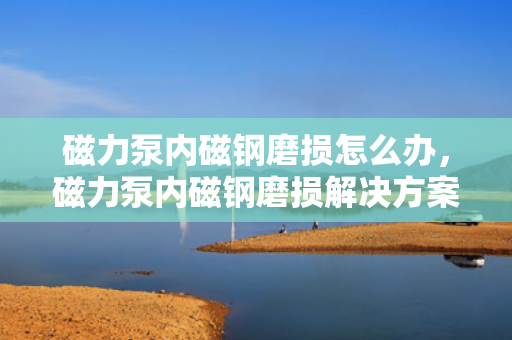 磁力泵内磁钢磨损怎么办，磁力泵内磁钢磨损解决方案