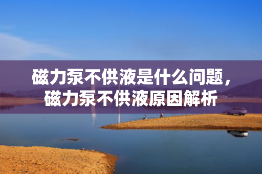 磁力泵不供液是什么问题，磁力泵不供液原因解析