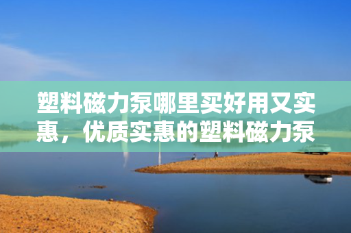 塑料磁力泵哪里买好用又实惠，优质实惠的塑料磁力泵购买指南，推荐好用又性价比高的购买渠道