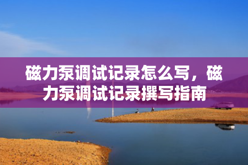 磁力泵调试记录怎么写，磁力泵调试记录撰写指南