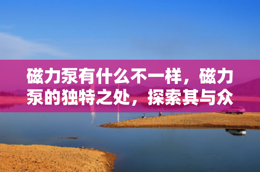 磁力泵有什么不一样，磁力泵的独特之处，探索其与众不同的特性