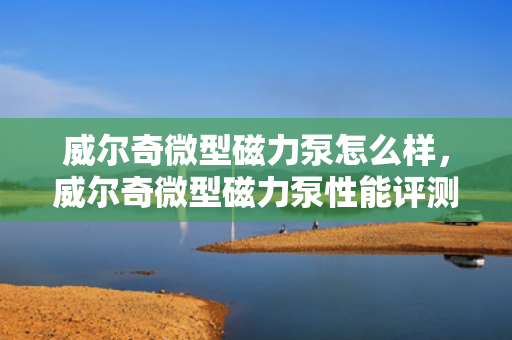 威尔奇微型磁力泵怎么样，威尔奇微型磁力泵性能评测及用户反馈