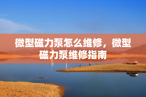 微型磁力泵怎么维修，微型磁力泵维修指南