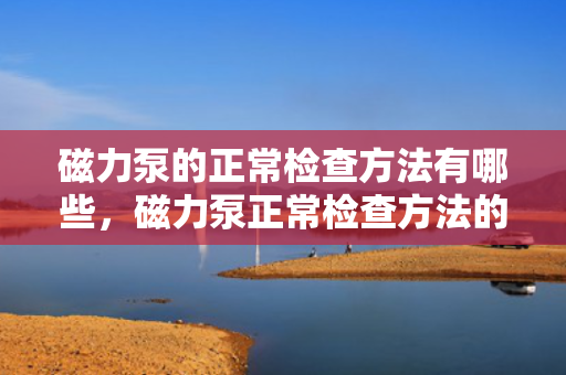磁力泵的正常检查方法有哪些，磁力泵正常检查方法的全面指南
