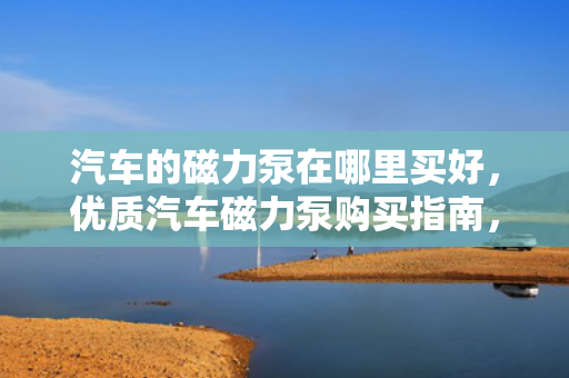 汽车的磁力泵在哪里买好，优质汽车磁力泵购买指南，推荐购买地点及选购建议