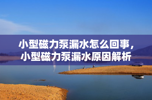 小型磁力泵漏水怎么回事，小型磁力泵漏水原因解析