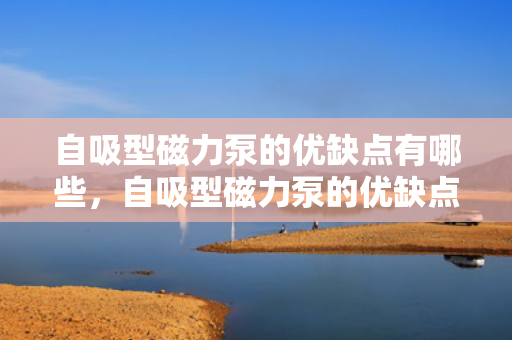 自吸型磁力泵的优缺点有哪些，自吸型磁力泵的优缺点全面解析