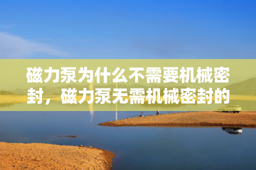 磁力泵为什么不需要机械密封，磁力泵无需机械密封的奥秘