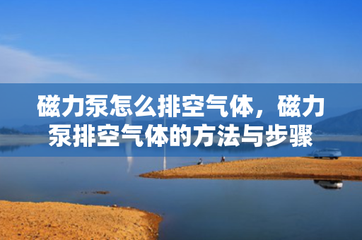 磁力泵怎么排空气体，磁力泵排空气体的方法与步骤