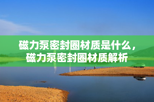 磁力泵密封圈材质是什么，磁力泵密封圈材质解析