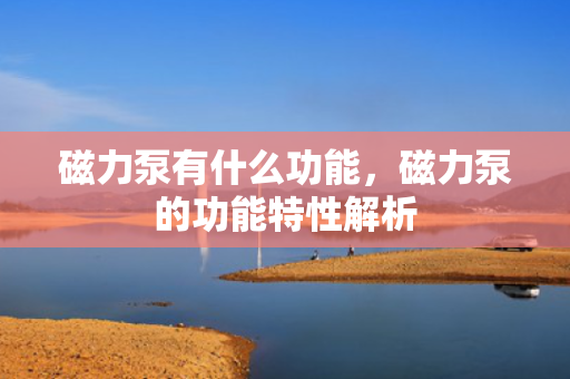 磁力泵有什么功能，磁力泵的功能特性解析