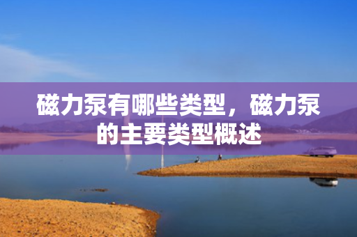 磁力泵有哪些类型，磁力泵的主要类型概述