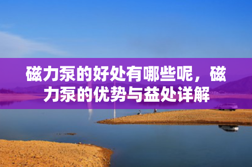 磁力泵的好处有哪些呢，磁力泵的优势与益处详解