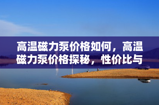 高温磁力泵价格如何，高温磁力泵价格探秘，性价比与市场行情解析