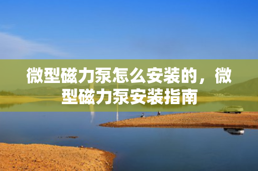 微型磁力泵怎么安装的，微型磁力泵安装指南