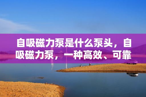 自吸磁力泵是什么泵头，自吸磁力泵，一种高效、可靠的泵头选择