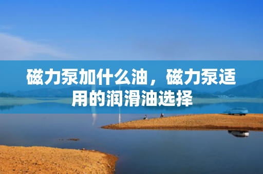 磁力泵加什么油，磁力泵适用的润滑油选择