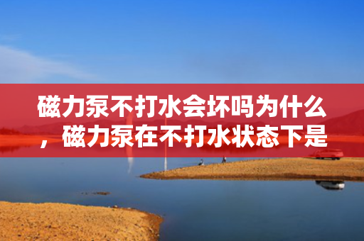 磁力泵不打水会坏吗为什么，磁力泵在不打水状态下是否会损坏及原因分析