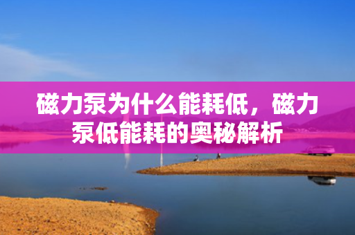 磁力泵为什么能耗低，磁力泵低能耗的奥秘解析