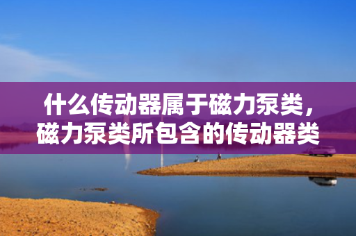 什么传动器属于磁力泵类，磁力泵类所包含的传动器类型