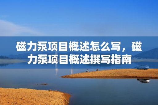 磁力泵项目概述怎么写，磁力泵项目概述撰写指南