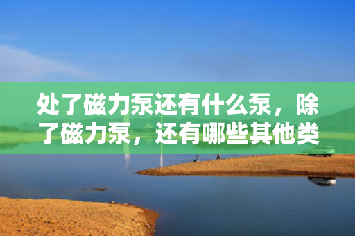 处了磁力泵还有什么泵，除了磁力泵，还有哪些其他类型的泵？