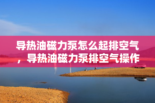导热油磁力泵怎么起排空气，导热油磁力泵排空气操作指南