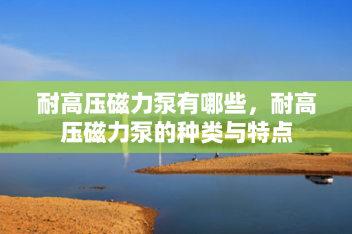 耐高压磁力泵有哪些，耐高压磁力泵的种类与特点