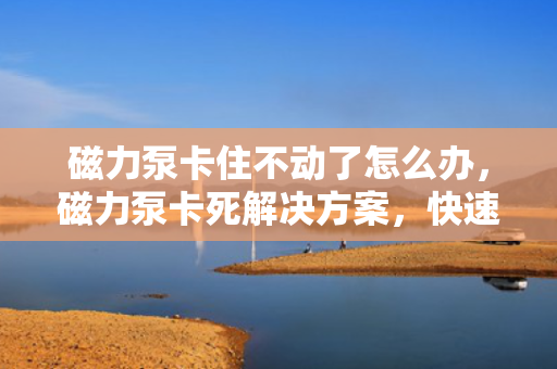 磁力泵卡住不动了怎么办，磁力泵卡死解决方案，快速恢复运转的秘诀