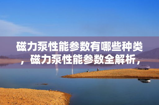 磁力泵性能参数有哪些种类，磁力泵性能参数全解析，了解各种关键指标