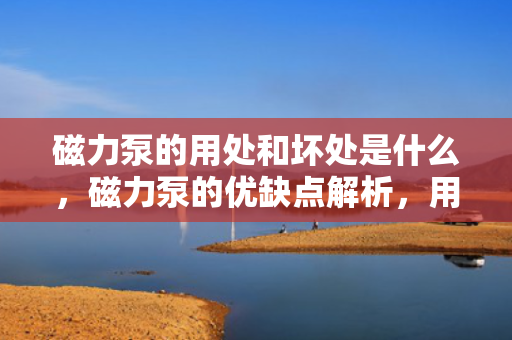 磁力泵的用处和坏处是什么，磁力泵的优缺点解析，用途广泛但需注意潜在风险