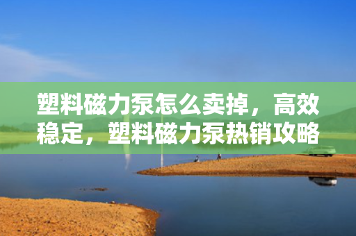 塑料磁力泵怎么卖掉，高效稳定，塑料磁力泵热销攻略，如何成功出售您的设备