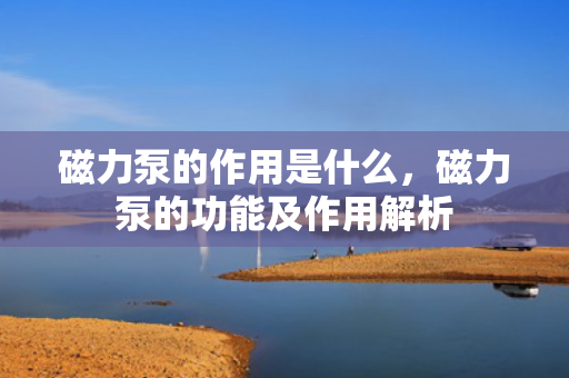 磁力泵的作用是什么，磁力泵的功能及作用解析