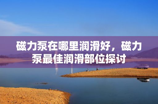 磁力泵在哪里润滑好，磁力泵最佳润滑部位探讨