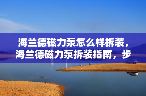 海兰德磁力泵怎么样拆装，海兰德磁力泵拆装指南，步骤详解与注意事项