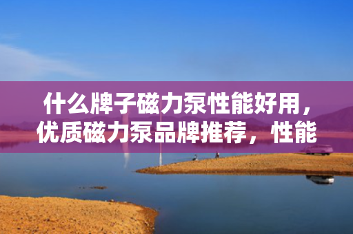 什么牌子磁力泵性能好用，优质磁力泵品牌推荐，性能卓越，值得信赖的选择