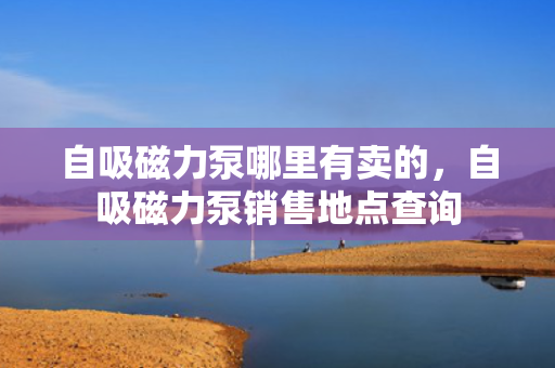 自吸磁力泵哪里有卖的，自吸磁力泵销售地点查询