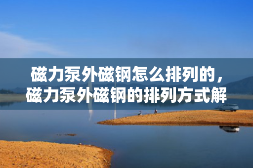 磁力泵外磁钢怎么排列的，磁力泵外磁钢的排列方式解析